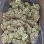 Packman Berry Payton 2